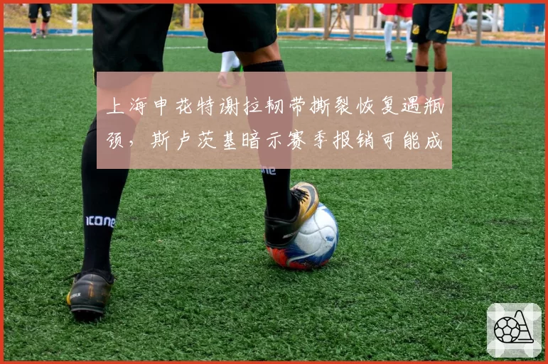 上海申花特谢拉韧带撕裂恢复遇瓶颈,斯卢茨基暗示赛季报销可能成真?
