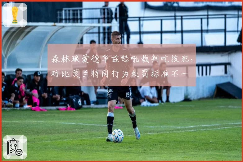 森林狼爱德华兹怒吼裁判吃技犯，对比莫兰特同行为处罚标准不一